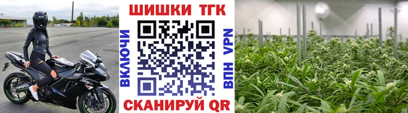 Конопля сатива  Йошкар-Ола 